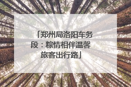 郑州局洛阳车务段：粽情相伴温馨旅客出行路
